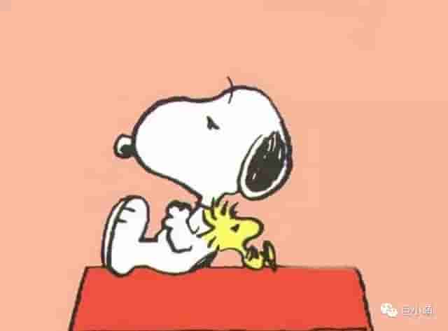 全世界都认识Snoopy，但不是每个人都知道它是什么狗