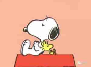 史努比原型(全世界都认识Snoopy，但不是每个人都知道它是什么狗)