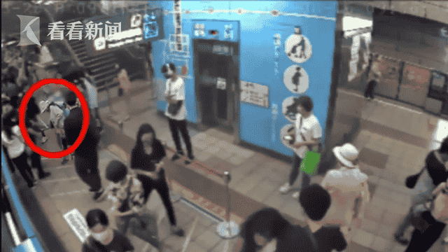 台北地铁宠物松鼠“越狱”咬人 多名乘客受惊吓