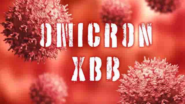 XBB.1.5毒株是什么病毒 有必要囤蒙脱石散吗？