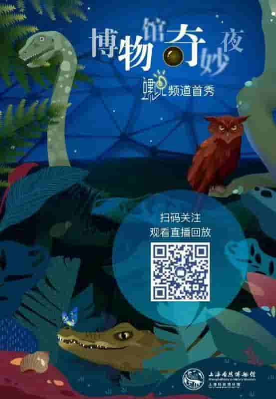恐龙在跳舞，斑马在蹦迪，北极狼在嚎叫……上海自然博物馆与B站合作直播“博物馆奇妙夜”