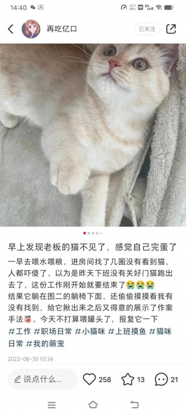 杭州23岁姑娘月薪6000元，朝九晚五周末双休，工作就是撸猫？