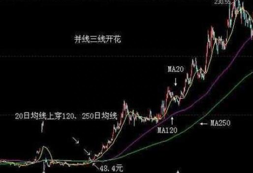 中国股市：为什么股价涨一点散户就拿不住卖出，而股价大跌却不舍得割肉还不断补仓？不懂不要进入股市