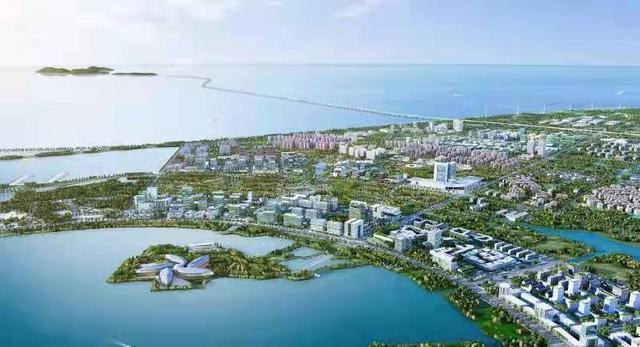打造海滨新城先行示范区，滴水湖畔“未来科创策源地”凸显顶科论坛溢出效应