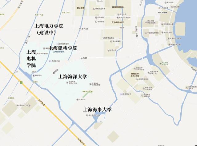 浦东建设了临港大学城，已经成为上海大学最集中的三个地区之一