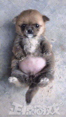 曝光:《赤裸特工》女主Maggie Q的震撼写真,谁能抵挡她的魅力?