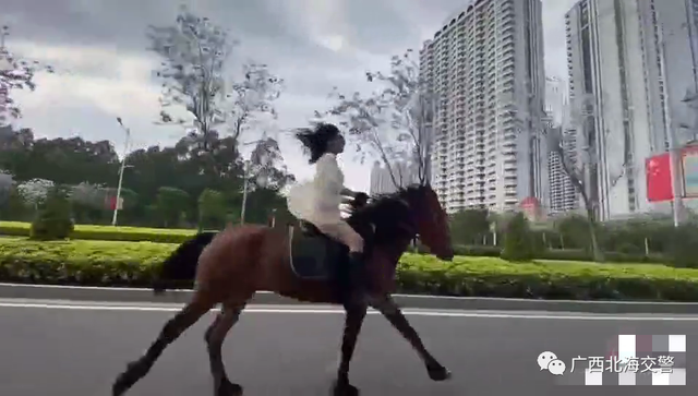 网传一美女街头策马奔腾?广西交警:属实!已教育纠正并责令整改