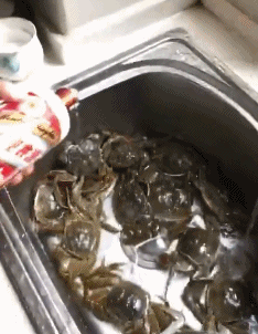 曝光:《赤裸特工》女主Maggie Q的震撼写真,谁能抵挡她的魅力?
