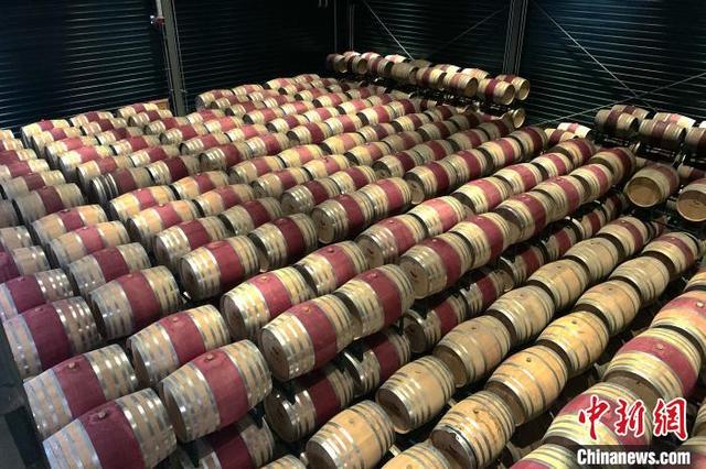 法国姑娘陈仙妮:我把宁夏葡萄酒卖到全世界