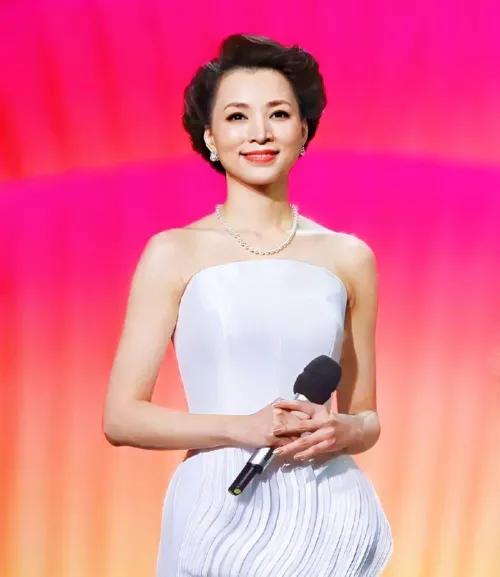 温婉贤淑,才情并蓄的美女主持人董卿