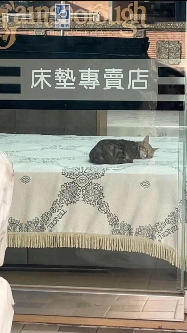 太抢镜了!上海一女子地铁穿搭太靓眼,有男乘客竟然坐过站了!