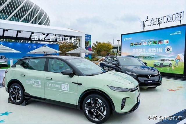 东风岚图携手武网,共启2024武汉网球公开赛