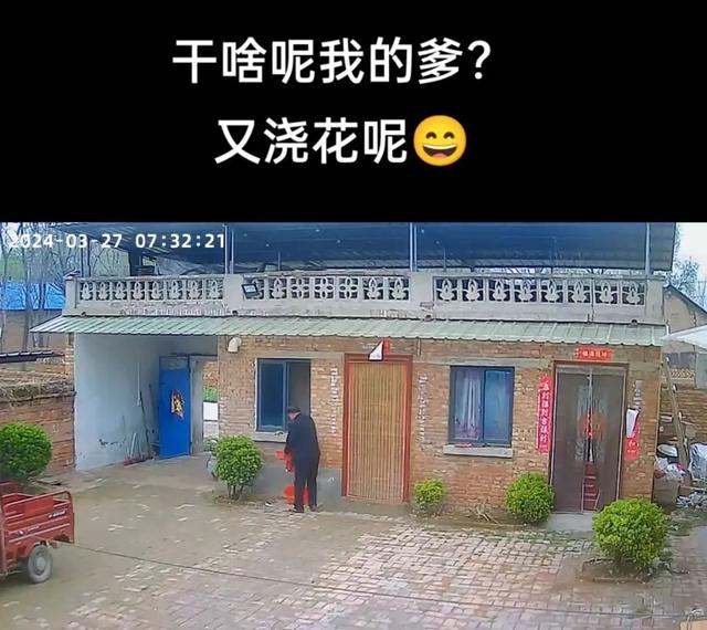 这组监控对比冲上热搜!评论区众多网友纷纷泪目分享……
