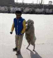 地铁美女GIF(太抢镜了上海一女子地铁穿搭太靓眼，有男乘客竟然坐过站了)