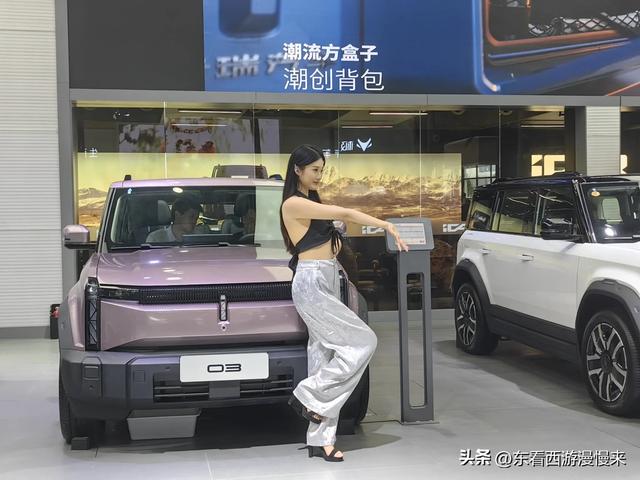 实拍长沙车展香车美女图片集