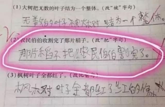 一个女人的咆哮刷爆朋友圈!哈哈哈哈哈看完笑出猪叫声