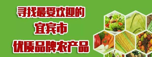 每小时只要8.4元!宜宾有4个停靠点,“共享汽车”真的来了?