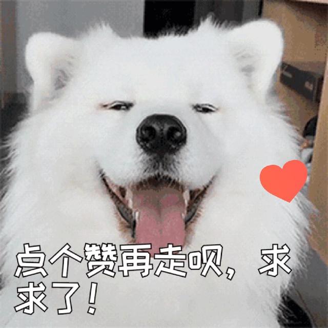 短暂人生怎样才算有意义呢？网友说，用有限的时间去获得无数体验