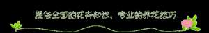 汽车四季保养(四季海棠四季开花，做好6点养护技巧，开花停不下让人眼前一亮)