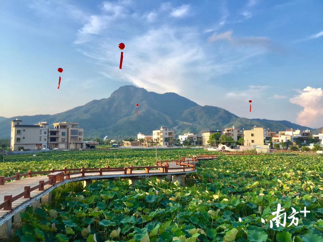 聚焦陆河两会②丨这座客家山城,未来将变身“绿色宜居家园”