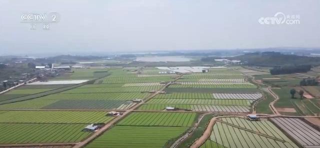 送货路→回家路→幸福路,新的一年,努力奋斗!