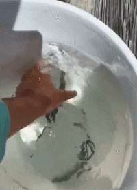 渣男骗吻美女(“渣男在电影院趁女友上厕所时亲吻女友闺蜜，被后排观众曝光)