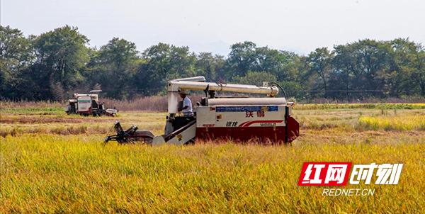 常宁国庆速写:他们用奋斗坚守,向祖国深情告白