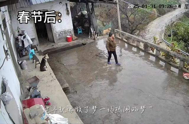 这组监控对比冲上热搜!评论区众多网友纷纷泪目分享……