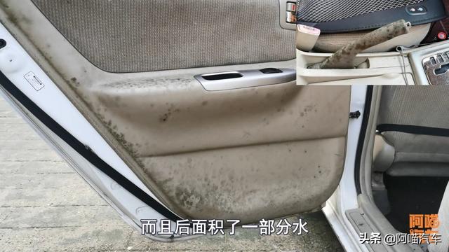 车子漏水导致恶臭无比,竹炭柚子皮都不管用,这个办法真能解决吗