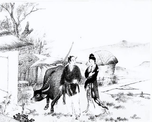 小姐看上懒木匠,村民说她没品位,道士:拿猫尿来治病