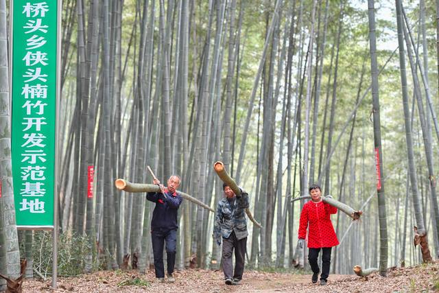 山野新声 小县大观——湖南人口小县蹲点手记