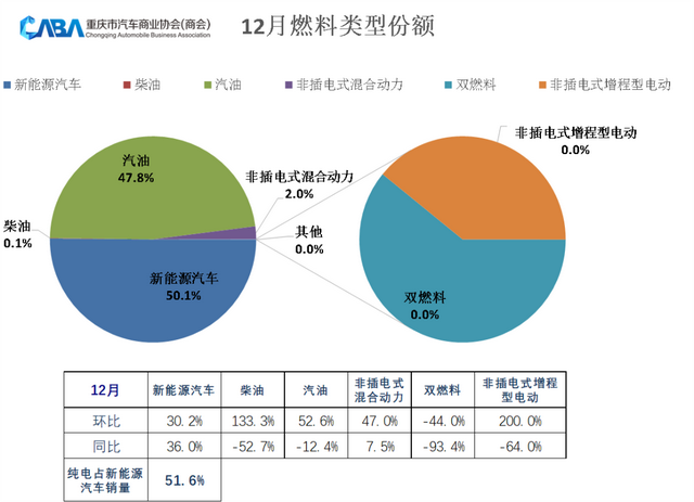 同环比双增长,重庆12月销量超4.9万辆,新能源占比高于行业