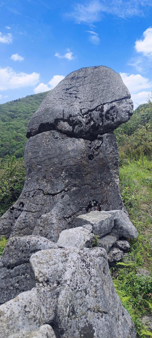 好个龙昌坪，美女晒罗裙——大方屋脊绿塘龙昌坪大山之行