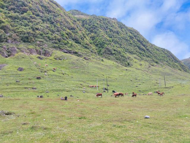 好个龙昌坪，美女晒罗裙——大方屋脊绿塘龙昌坪大山之行
