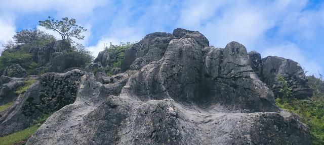 好个龙昌坪，美女晒罗裙——大方屋脊绿塘龙昌坪大山之行