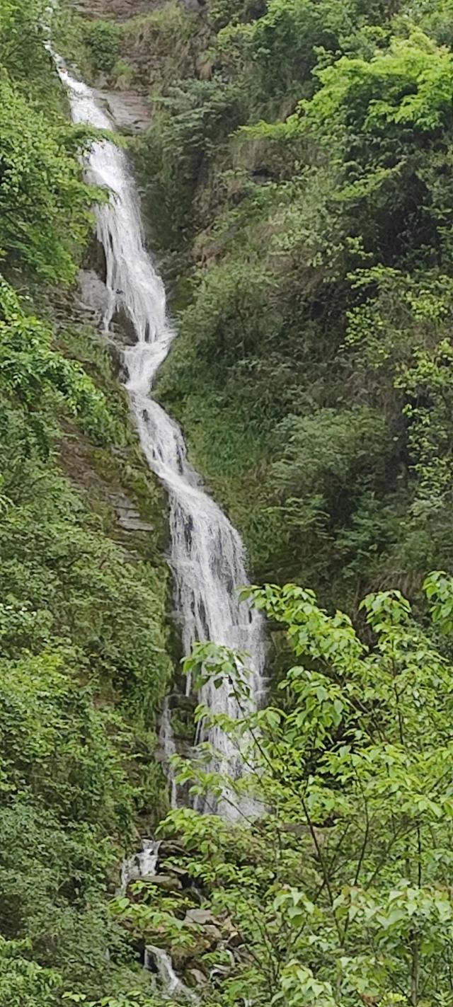 好个龙昌坪，美女晒罗裙——大方屋脊绿塘龙昌坪大山之行