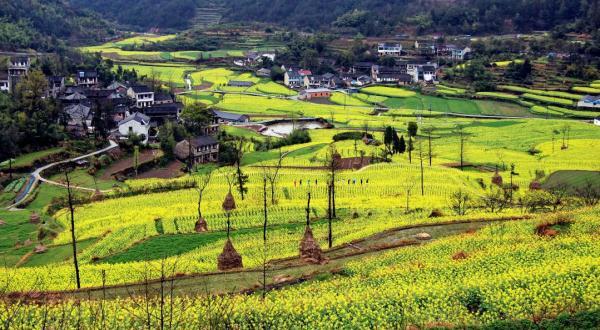 宁波新增一批国家3A、4A景区!你最想打卡哪家?