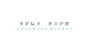 枞阳汽车(天南地北枞阳人｜左延安：当之无愧的汽车界功勋人物)