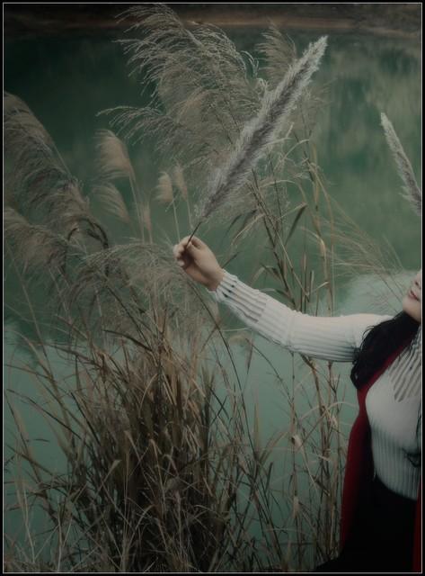 梦里银河骑月走,嫦娥约品菊香茶