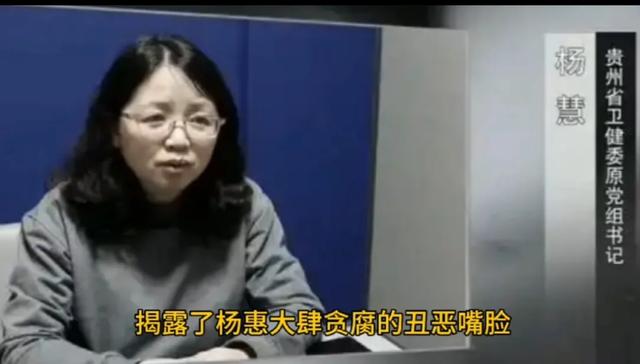 贵州“美女厅官”杨慧的那些事儿:权力、美色与锒铛入狱