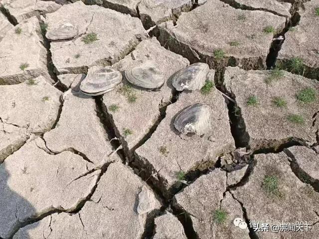 特急!全安徽立刻转发!