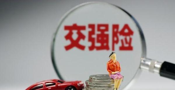 买车险到处都是坑?退休老交警:假如你不是土豪,买这3种准没错