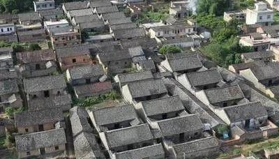 人间仙境,遇王族后人……