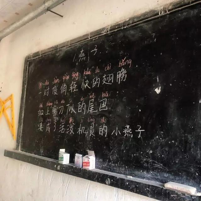 一个美女大学生,竟然剃了光头!原因和她一样美……