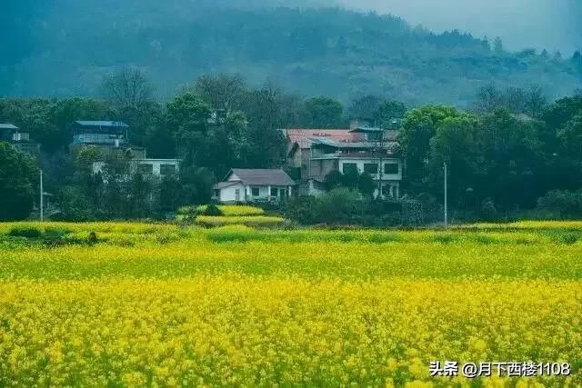 祁阳划给永州、耒阳回归衡阳,当时是谁起了关键作用