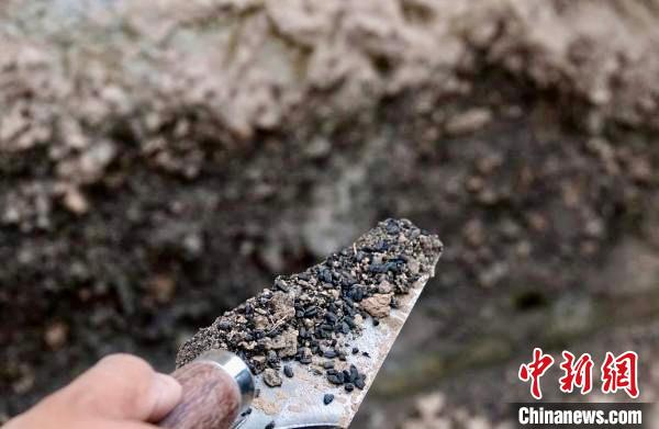 南佐遗址水稻遗存从何而来?研究称黄土高原五千年前气候适合种植