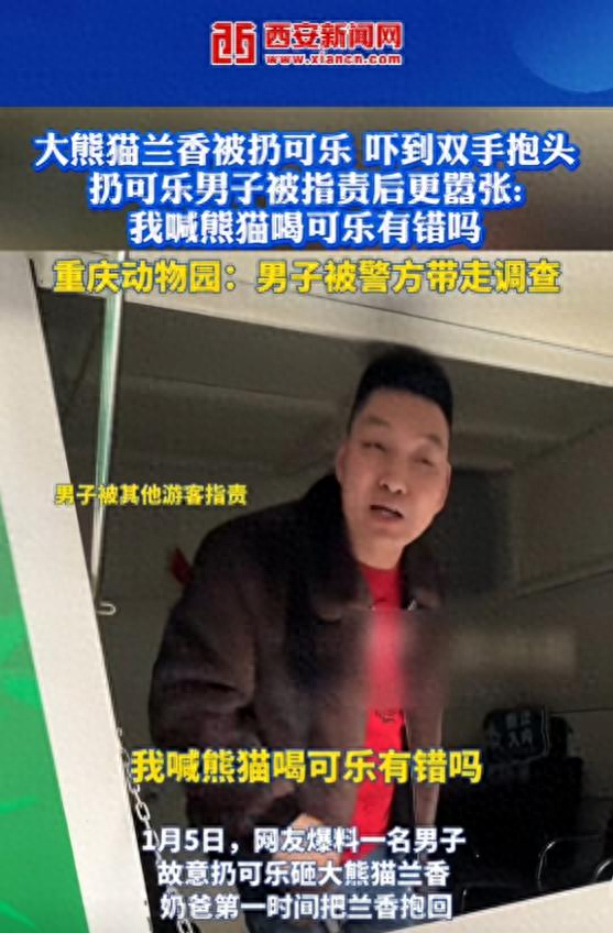 男子拿可乐砸熊猫后续：警方已带走，当事人疑似喝酒，知情人爆料