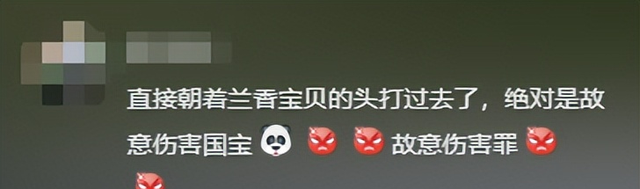 男子拿可乐砸熊猫后续：警方已带走，当事人疑似喝酒，知情人爆料
