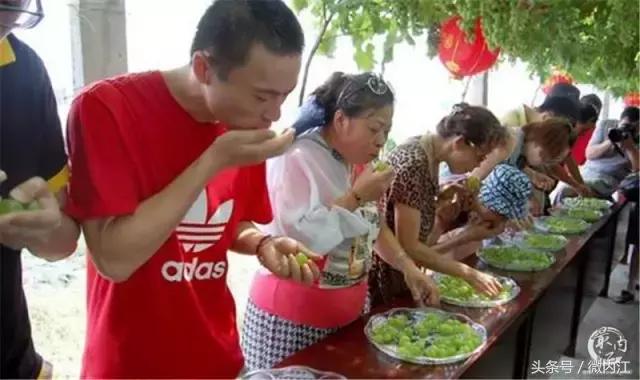 挡不住的诱惑！明日将有5万内江人涌向这里！