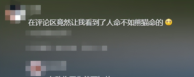 男子拿可乐砸熊猫后续：警方已带走，当事人疑似喝酒，知情人爆料